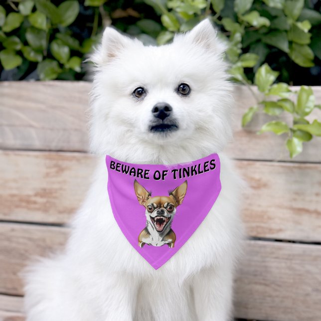 Beware of (Add Dog Name) Personalized Pet Bandana Collar (Dog)