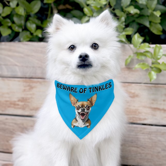 Beware of (Add Dog Name) Personalized Pet Bandana Collar (Dog)