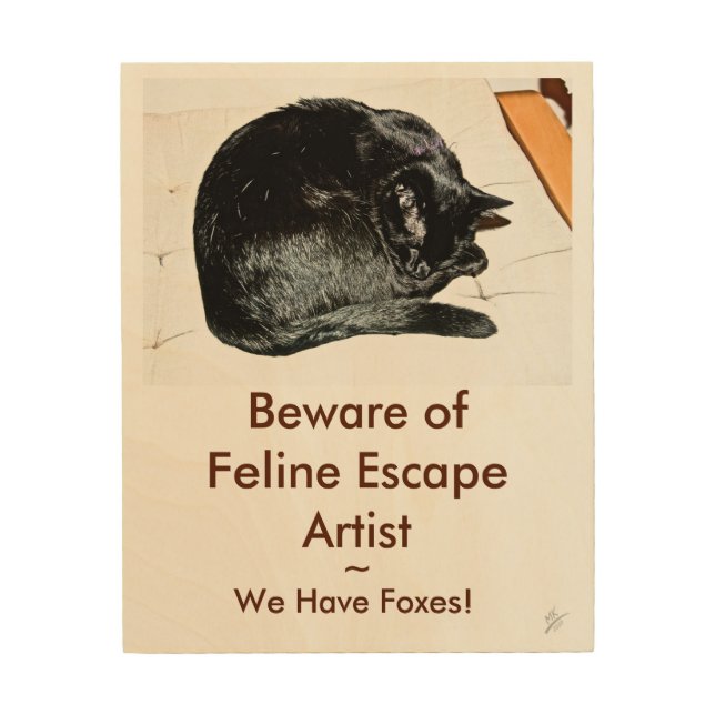 Beware of Cat 8x10 Wood Wall Art (Front)