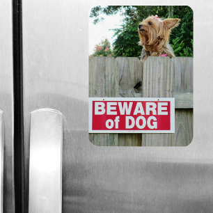 Beware of Cute Little Yorkie Dog Magnet
