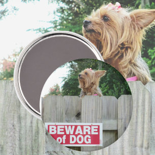 Beware of Dog Cute Yorkie Funny Magnet
