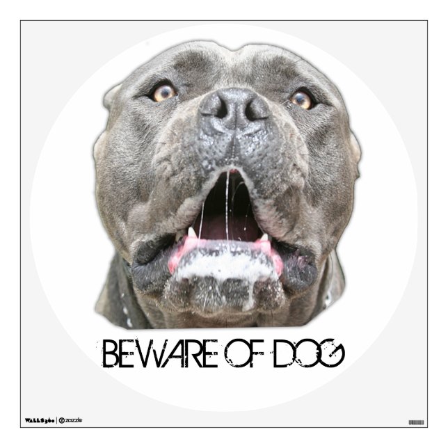 Beware of Dog Decal - Snarling Dog (Front)