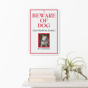 Beware of Dog Photo Funny Home Decor Humorous Metal Sign