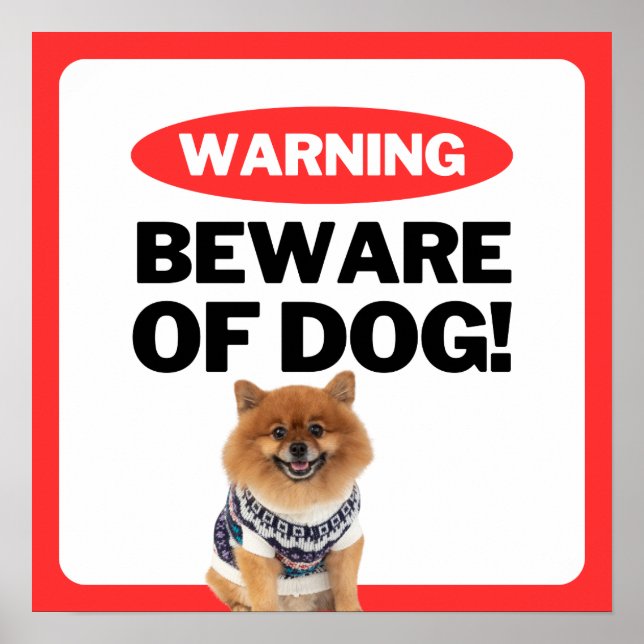 Beware Of Dog Pomeranian Poster (Front)
