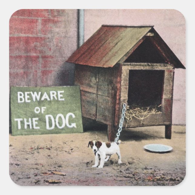 Beware of dog sign with small dog square sticker (Front)
