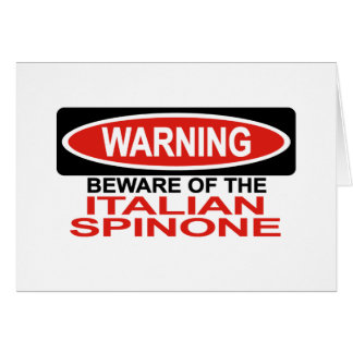 Beware Of Italian Spinone Cards