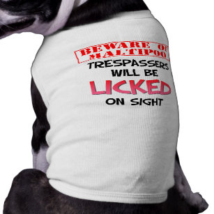 maltipoo clothes