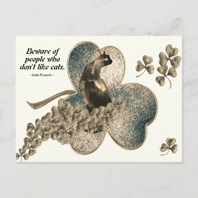 Beware of People Who Don't Like Cats Postcard (Front)