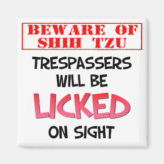 Beware of Shih Tzu (White) 2 Inch Square Magnet