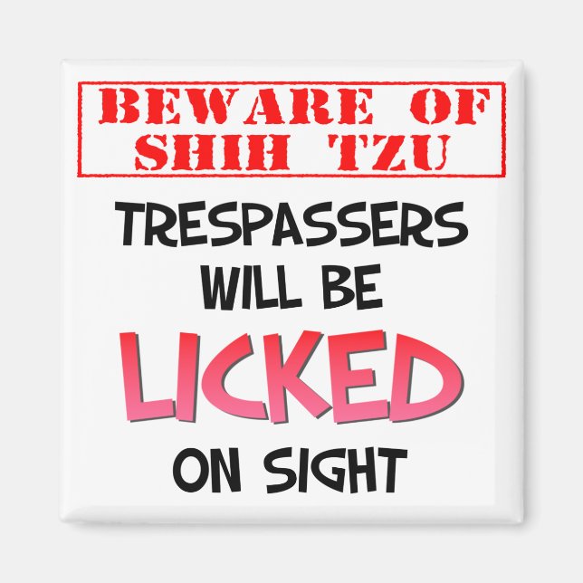Beware of Shih Tzu (White) 2 Inch Square Magnet (Front)