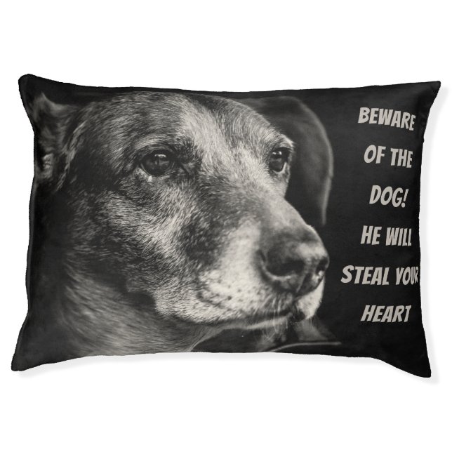 Beware of the dog, custom pet photo bed (Front)