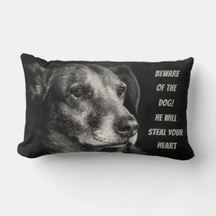 Beware of the dog, custom pet photo lumbar pillow
