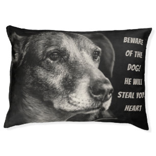 Beware of the dog, custom pet photo pet bed