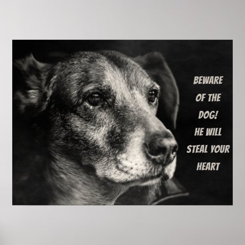 Beware of the dog custom pet photo poster