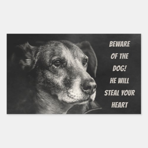 Beware of the dog custom pet photo rectangular sticker