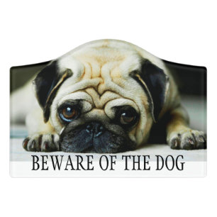 Beware of the Dog Door Sign