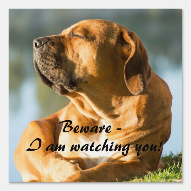 Beware of the dog sign (Front)