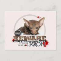 Beware of the Ninja Cat