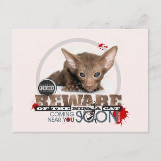 Beware of the Ninja Cat Postcard