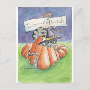 Beware Of Witch Cat Postcard