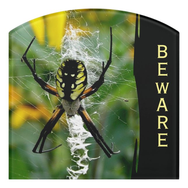 Beware Spider Kids Room Door Sign (Contour Front)