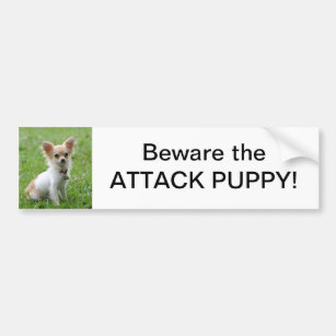 Beware the Attack Puppy Bumper Sticker