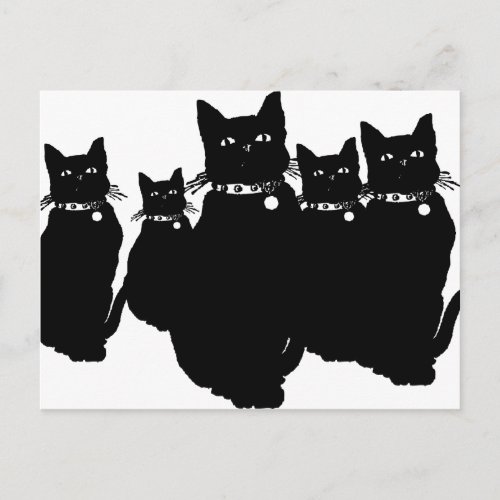 Beware the Black Cat Postcard