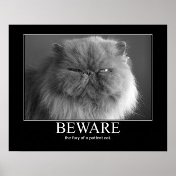 Beware The Fury Of A Patient Cat Artwork Poster by artisticcats at Zazzle