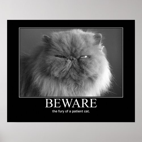 Beware the Fury of a Patient Cat Artwork Poster