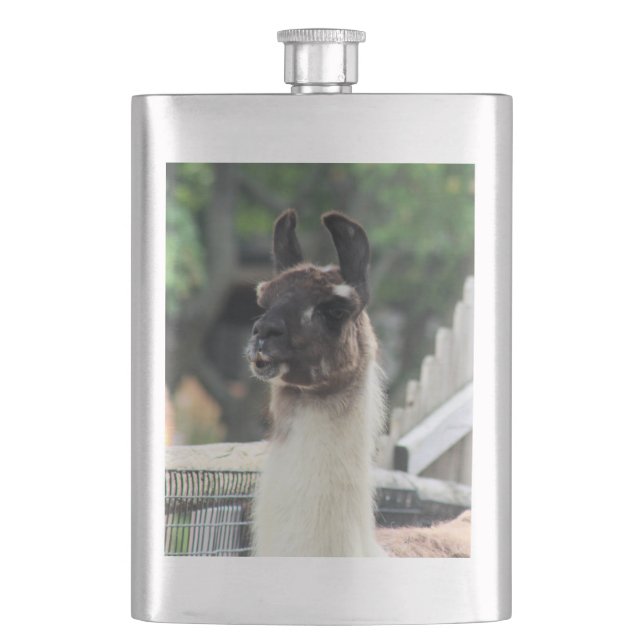 Beware the llama! flask (Front)