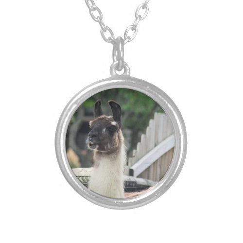 Beware the llama silver plated necklace