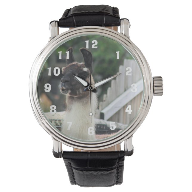 Beware the llama! watch (Front)