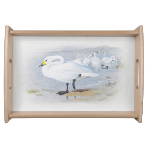  Bewick's swan, Birds illustration Serving Tray