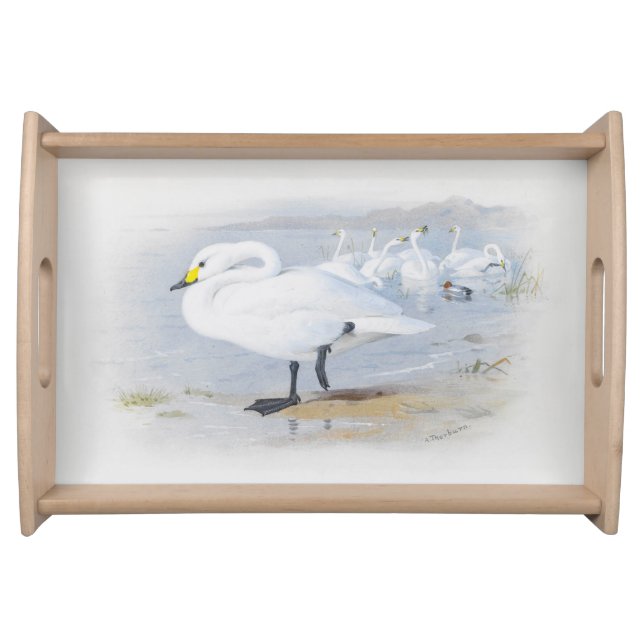  Bewick's swan, Birds illustration Serving Tray (Front)