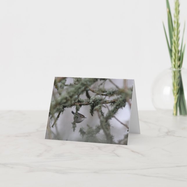 Bewick's Wren and moss Blank Note Card (Front)