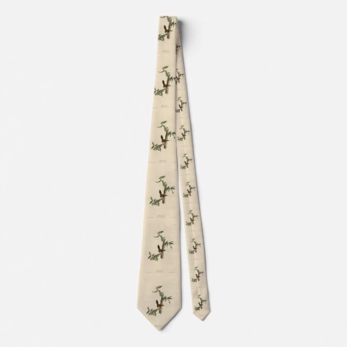 Bewicks Wren from Audubons Birds of America Neck Tie