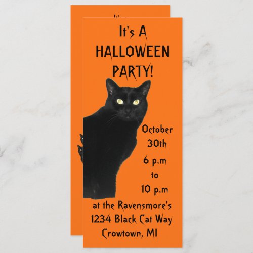 Bewitching Black Cat Halloween Party Invitation