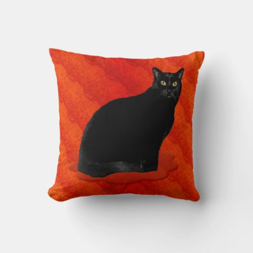 Bewitching Black Cat Throw Pillow