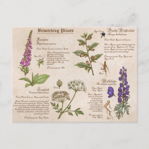 Bewitching Plants Feild Guide Postcard