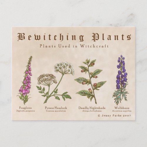 Bewitching Plants Postcard