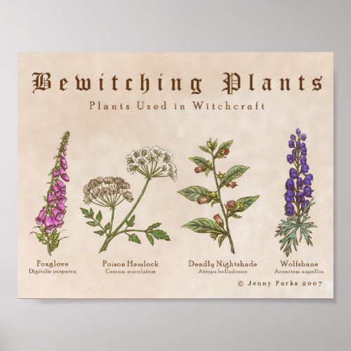 Bewitching Plants Print