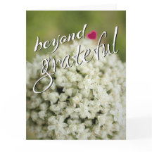 Beyond Grateful Thank You Cards
