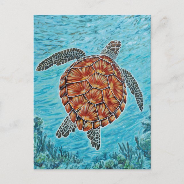 Beyond the Reef Postcard (Front)