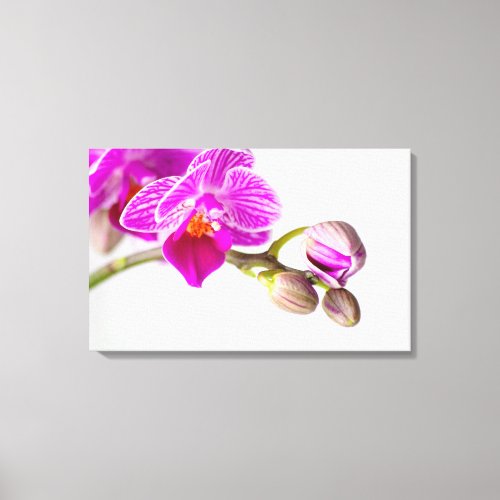 Bezaubernde Orchidee _ Glcksgefhle frei Haus Canvas Print