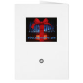 Béziers Cathedral organ (Back)