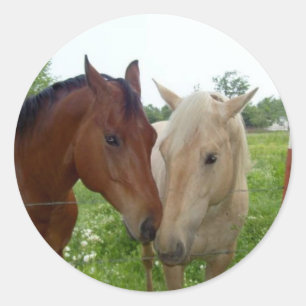 BFF Best Friends Forever - Horses Classic Round Sticker