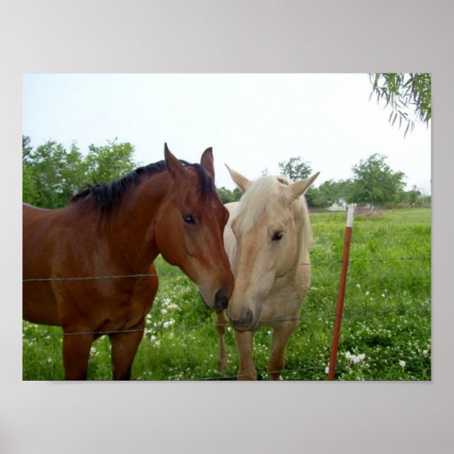 BFF Best Friends Forever Poster (Front)