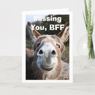 *BFF** POOR DONKEY MISSES VERY HAPPY ABOUT THAT CARD