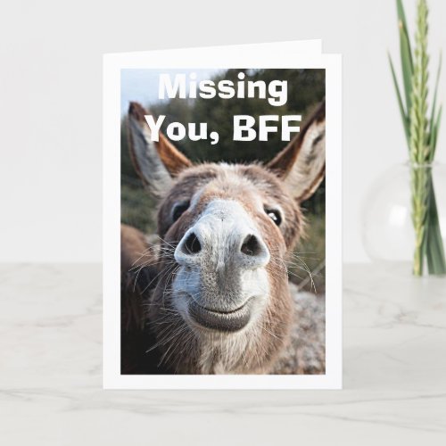 BFF POOR DONKEY MISSES VERY HAPPY ABOUT THAT CARD