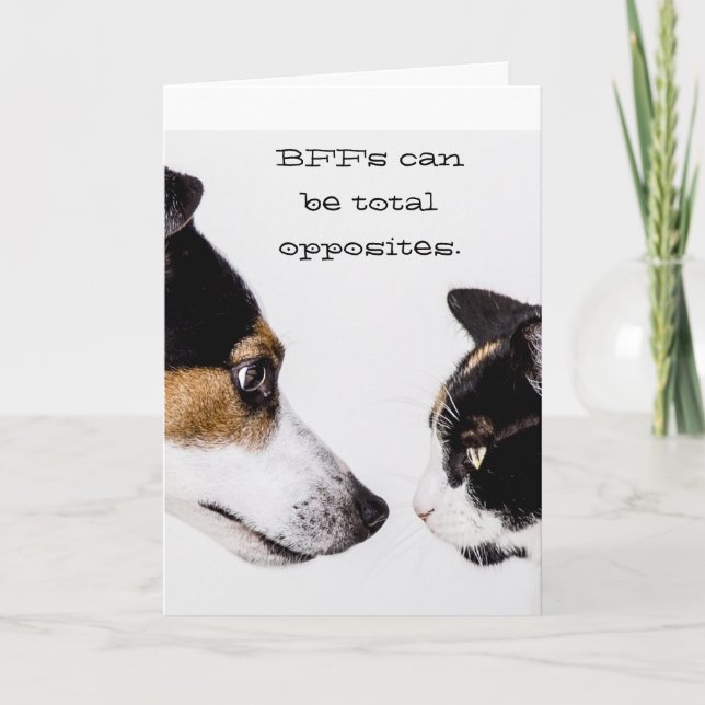 BFFs Total Opposites Cat & Dog Greeting Card (Front)
